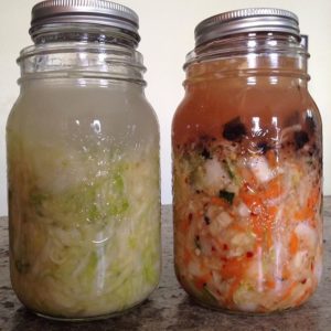 see how @bebhjen (on Instagram) has the small jar inside the big one to push the kraut down under the brine?