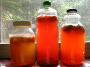 Kombucha second ferment variety
