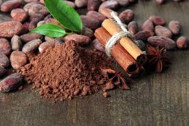 organic-raw-cacao-powder